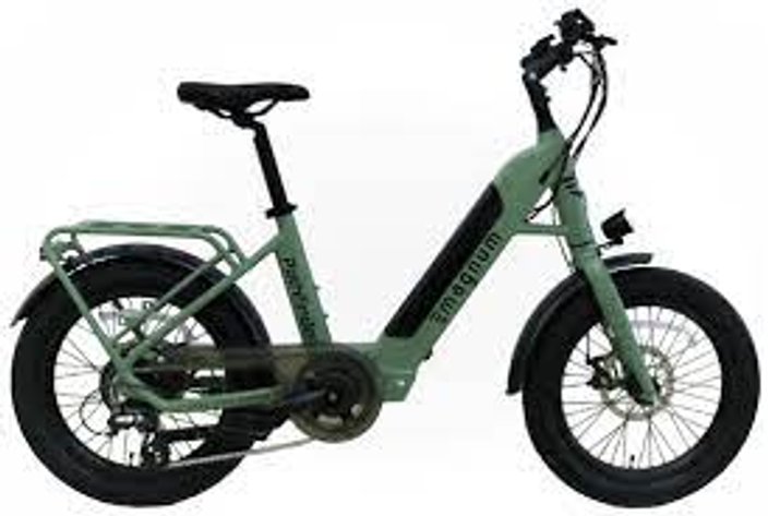 Voltaire Electric Cycles - 2nd Chance Auction